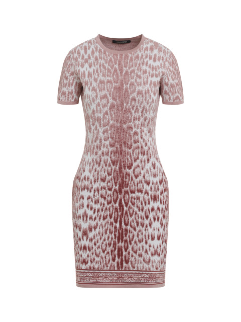 [ROBERTO CAVALLI] Short sleeve dress FW26 XQM103.MA018