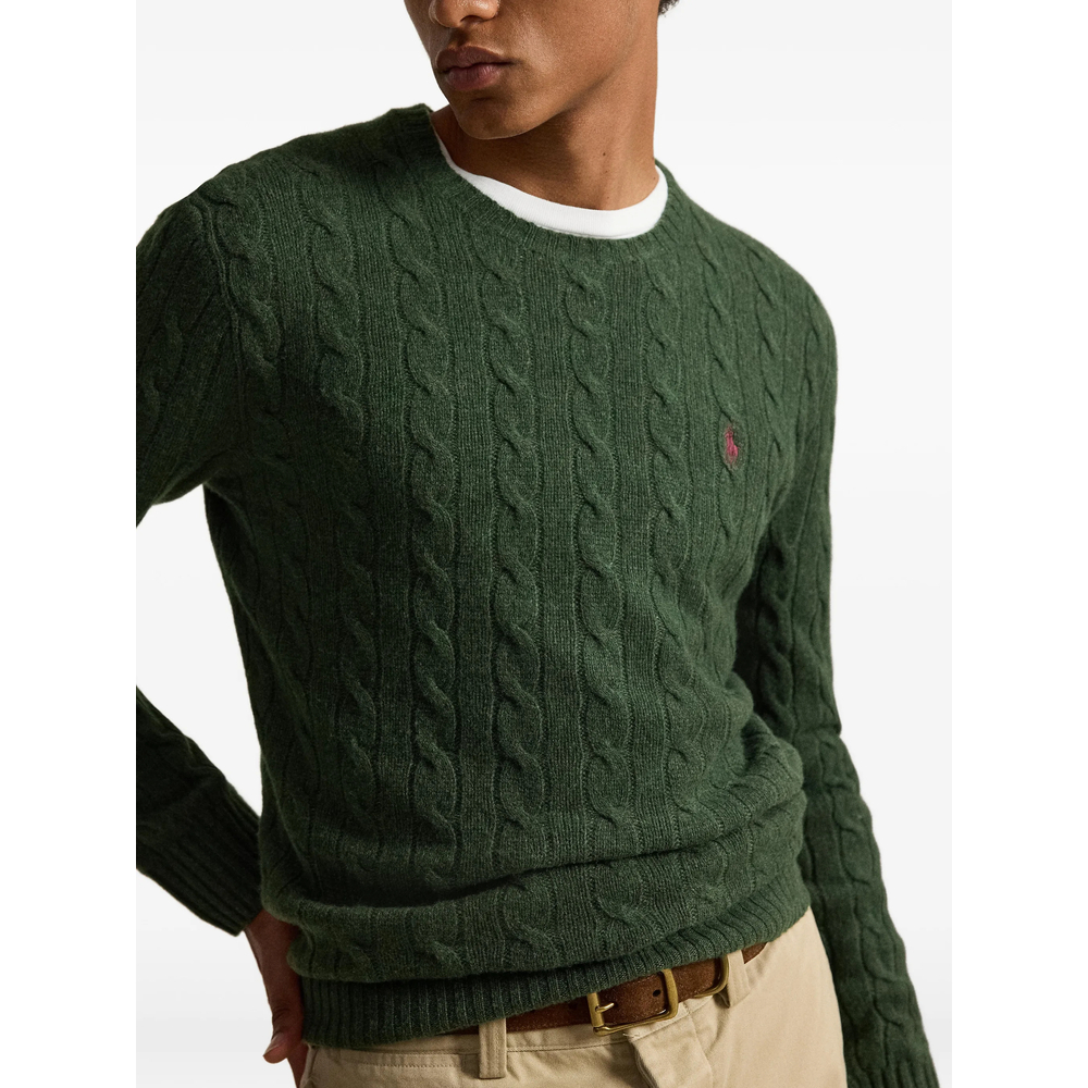 [Ralph Lauren] Sweatshirt FW26 710876762507  PINEH