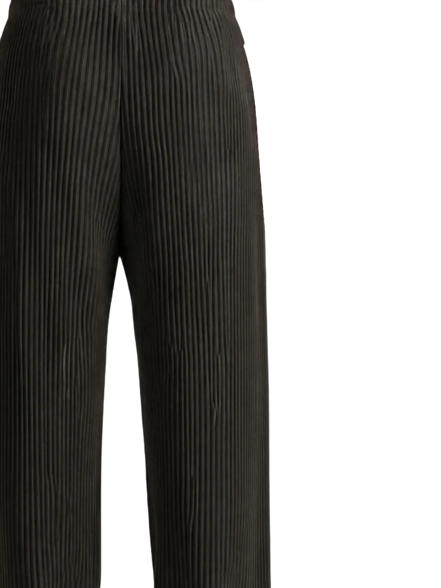 [Issey Miyake] Trousers FW26 HP68JF07447