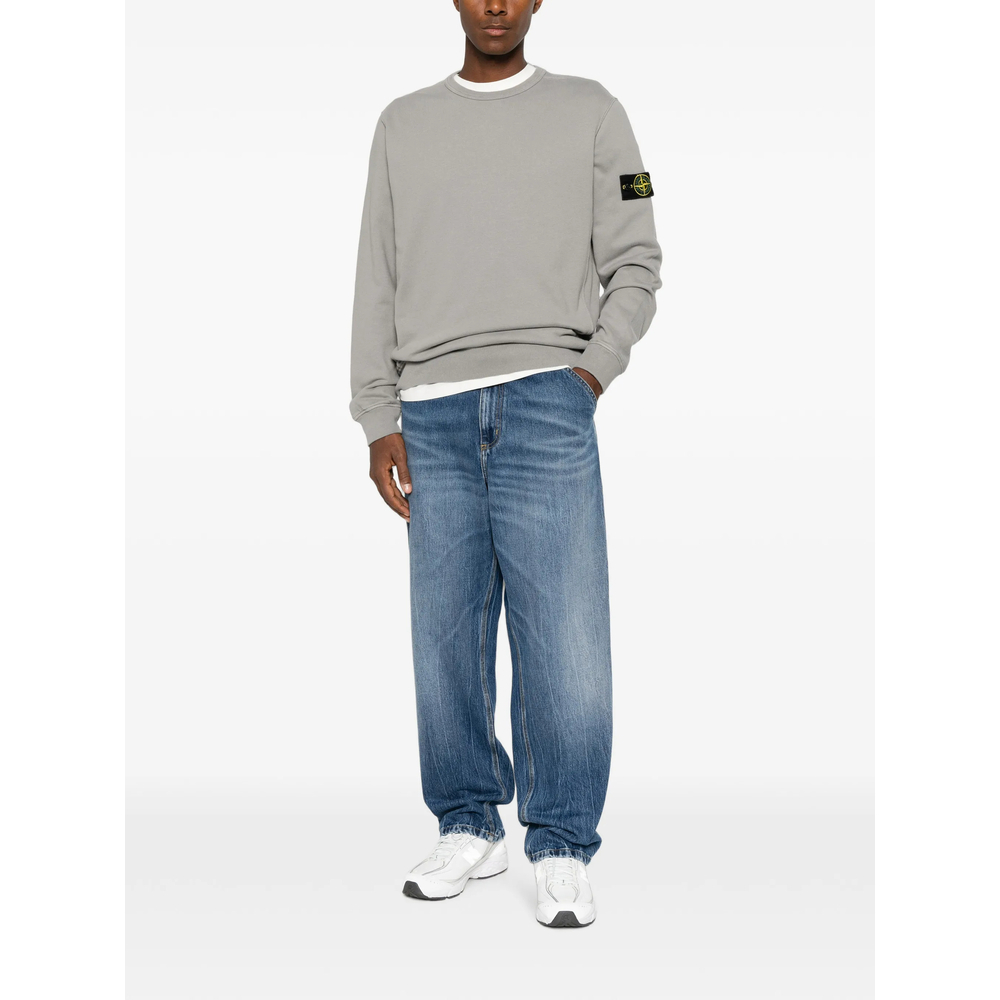 [Stone Island] Sweatshirt FW26 156100049 S0A20 V0060