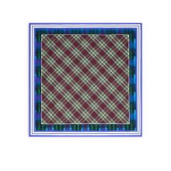 [DRIES VAN NOTEN] Scarf FW26 2620113024139504 BLUE