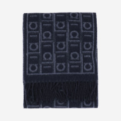 [Salvatore Ferragamo] Scarf FW26 520125004