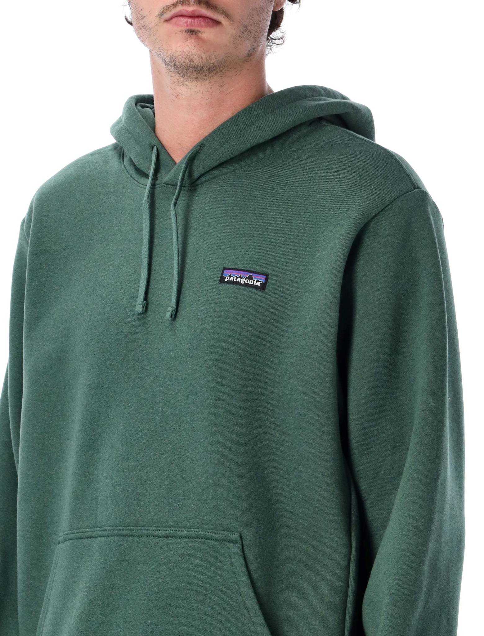 [Patagonia] Hoodie FW26 39621CNGR