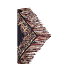 [Etro] Scarf FW26 WAXA0023AK19J X0812