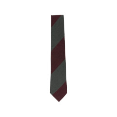 [TAGLIATORE] Tie FW26 CPIT54 TIE AW26 1