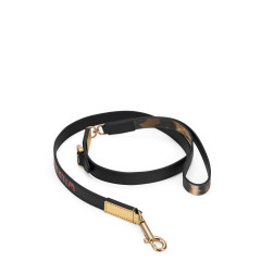 Leash for dogs