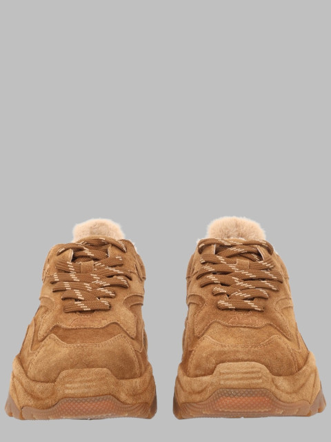 [ASH] Sneakers FW26 ADDICTBISFR2_CHESTNUT/EGGNUG